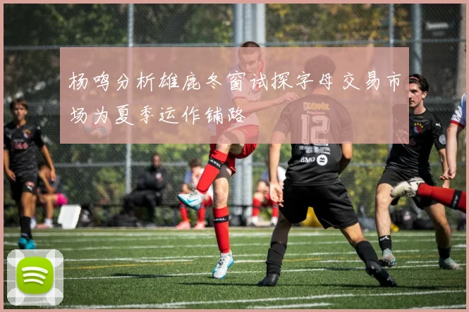 杨鸣分析雄鹿冬窗试探字母交易市场为夏季运作铺路